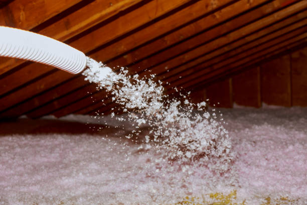 Best Types of Insulation in Cibolo, TX