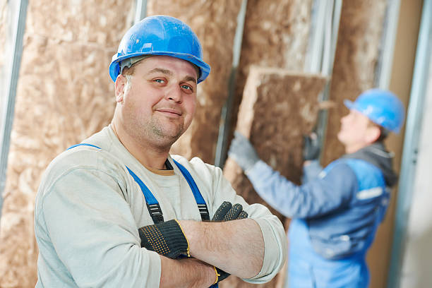 Best Residential Insulation in Cibolo, TX